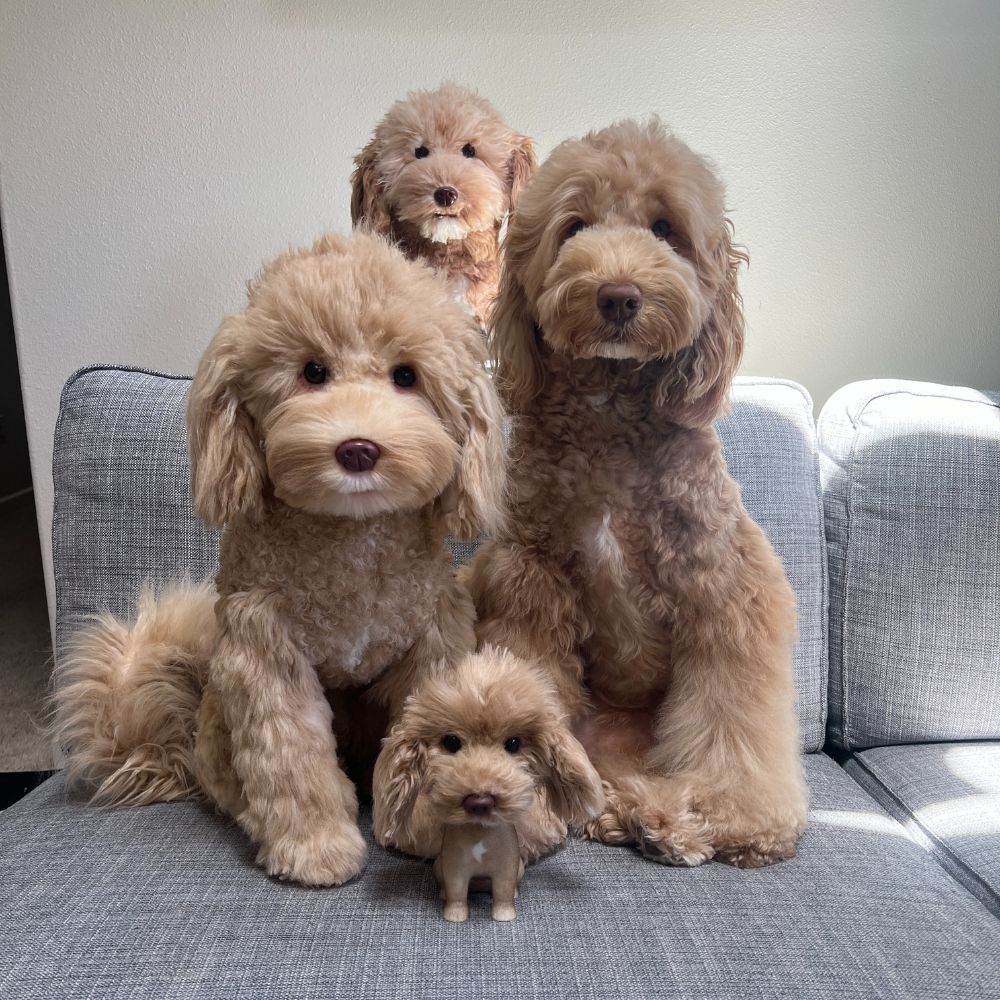 Customized Bobblehead