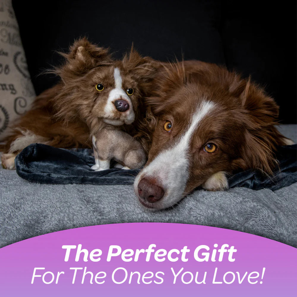 Customized Bobblehead