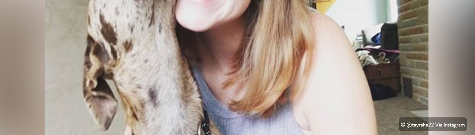 A dog kissing their human's face