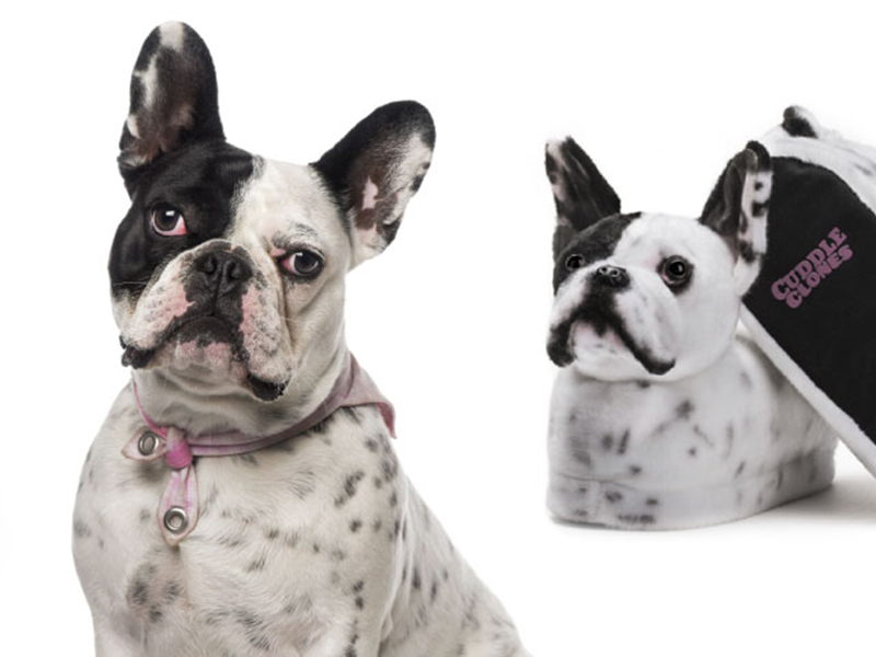 Boston Terrier beside a pair of custom pet slippers