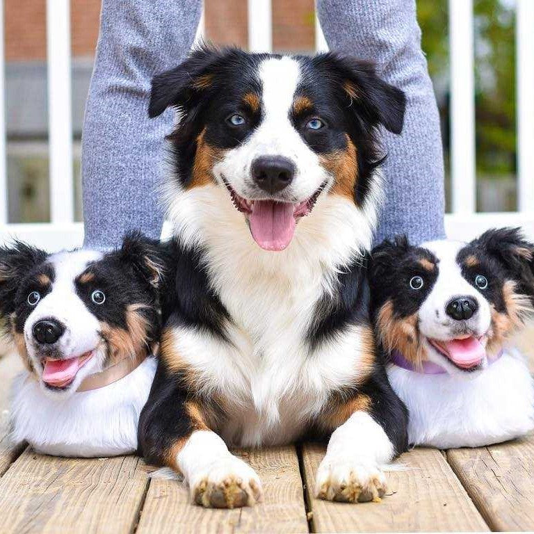 All Plush