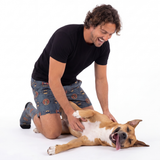 Man playing with a dog on a white background
