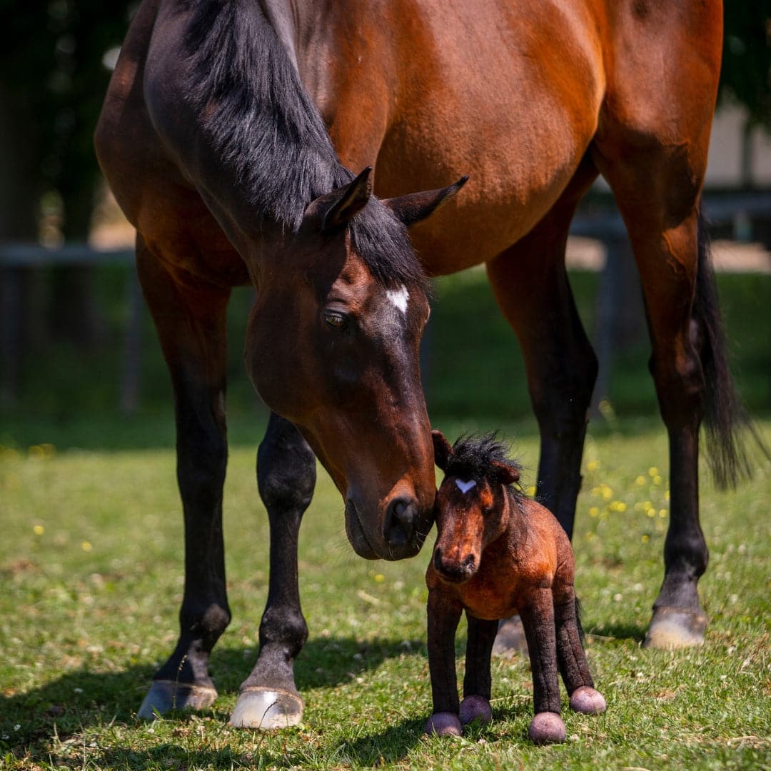 Custom Foal Horse Plush Cuddle Clone