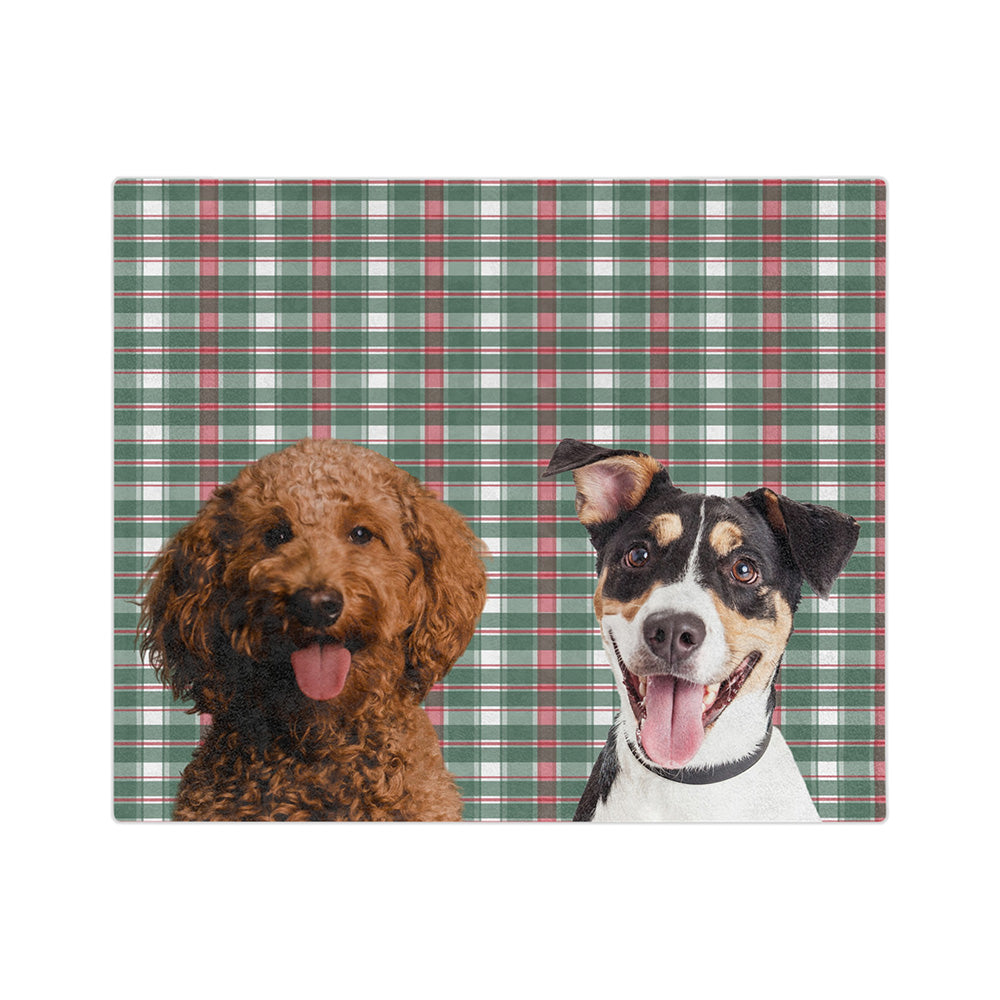 FlannelImageCutOut2Pets