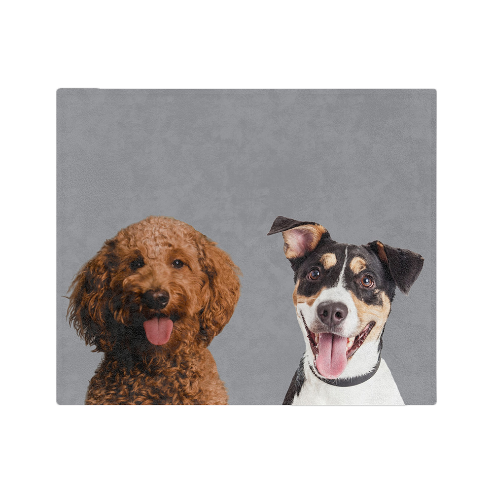 Gray blanket featuring the portraits of two dogs.