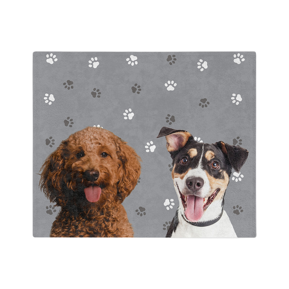SlateGrayPawsImageCutOut2Pets