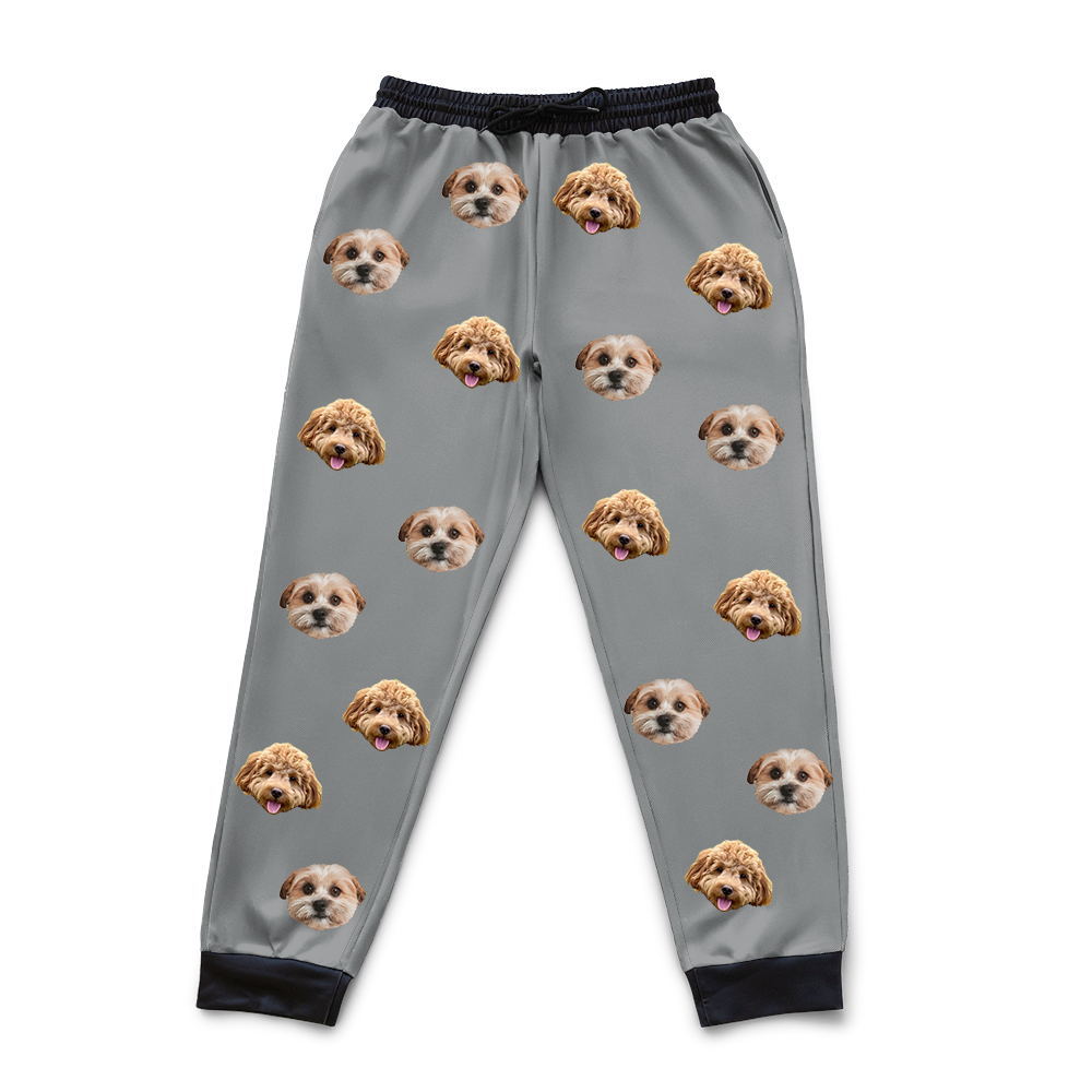 SlateGray2Pets