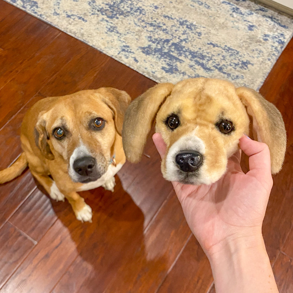 brown dog magnet plush