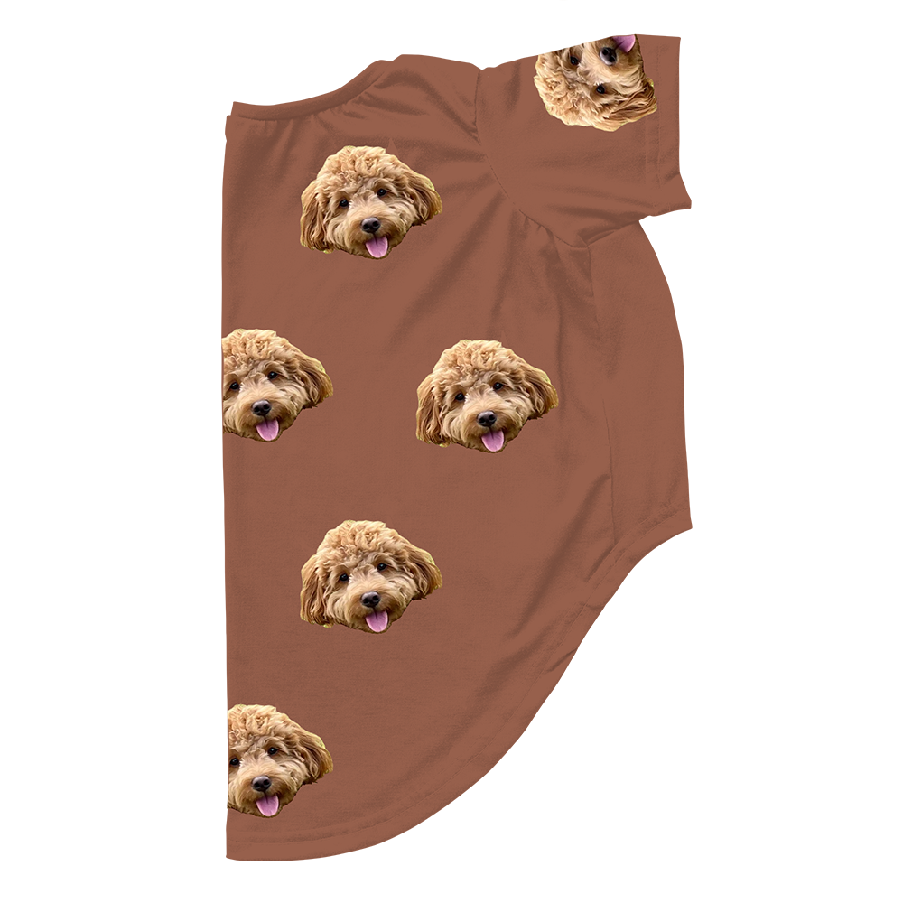 Cocoa