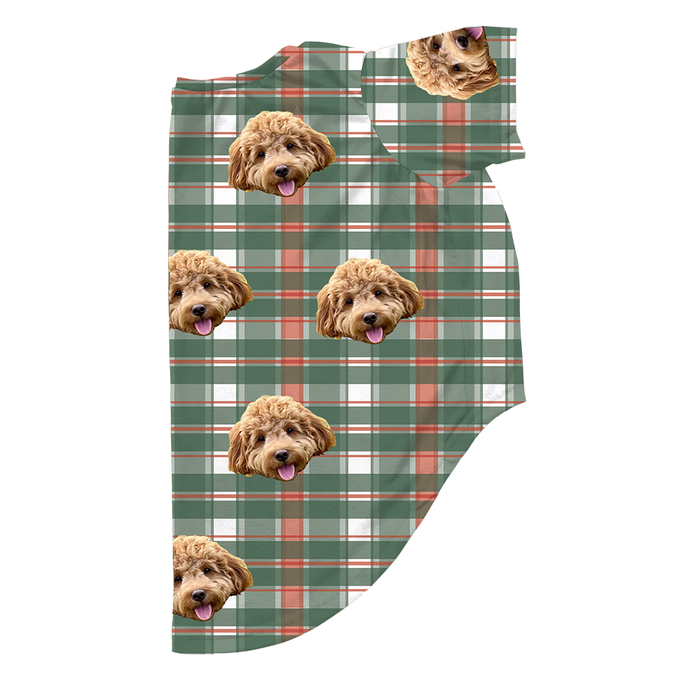 Flannel1Pet