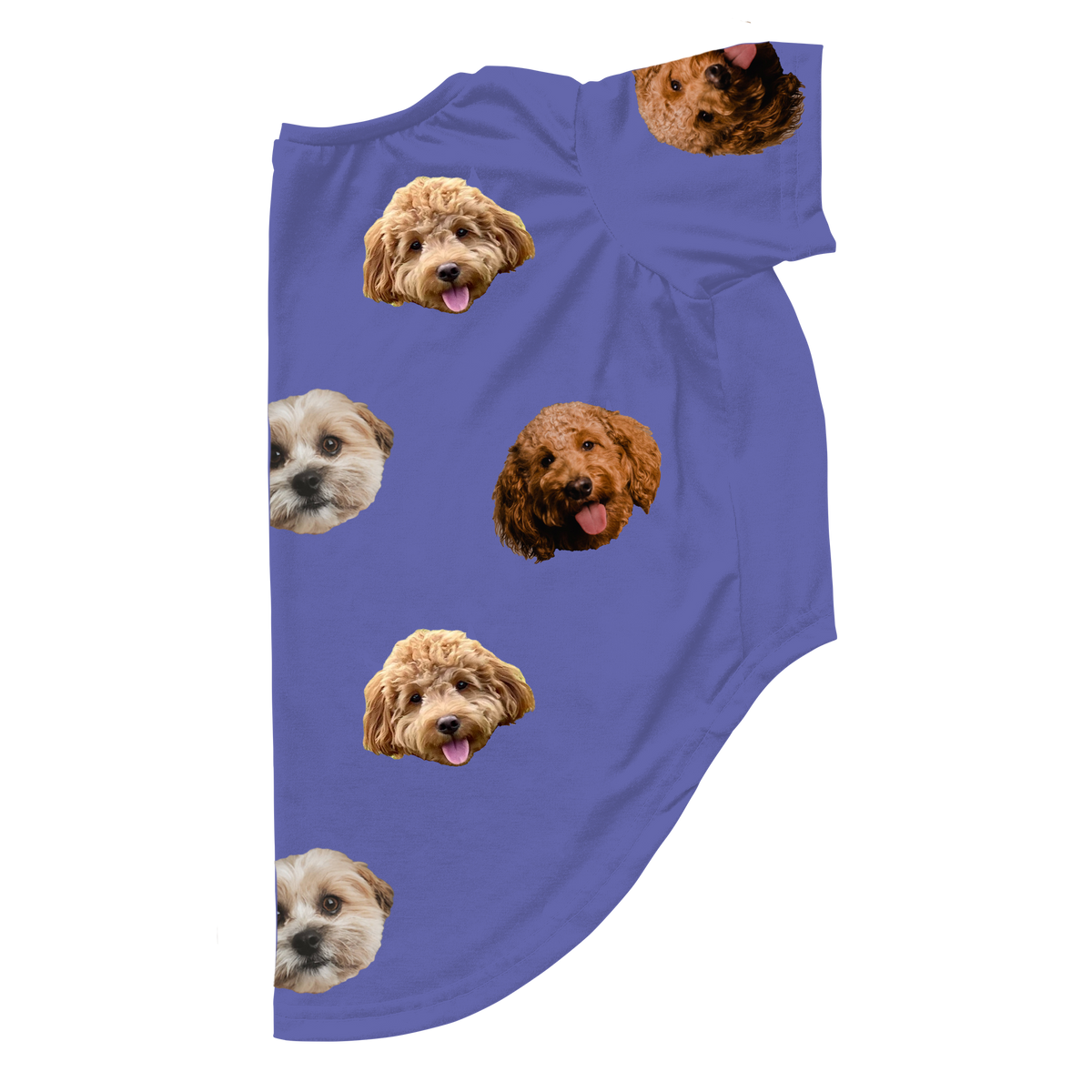 Grape3Pets