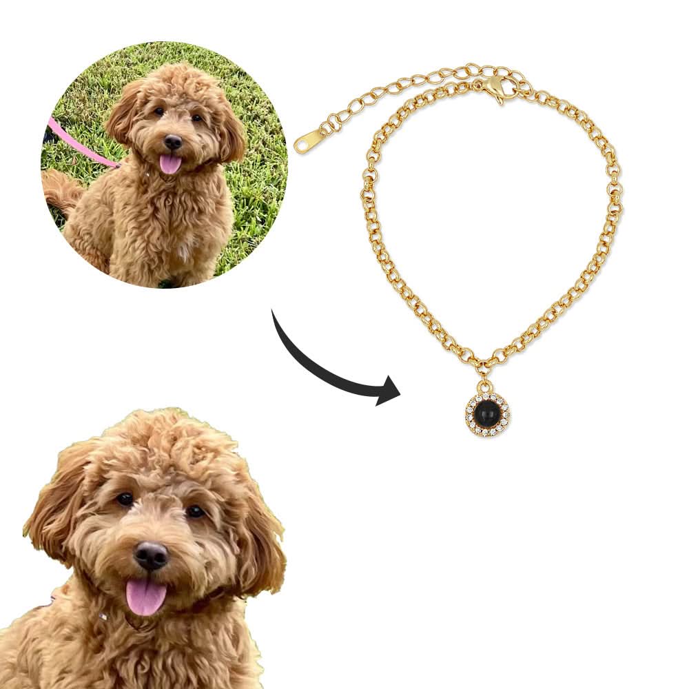 Customized Pet Photo Memory Bracelet