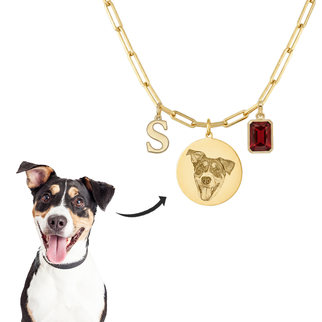 Gold necklace with a dog pendant and red gemstone, next to a dog on a white background