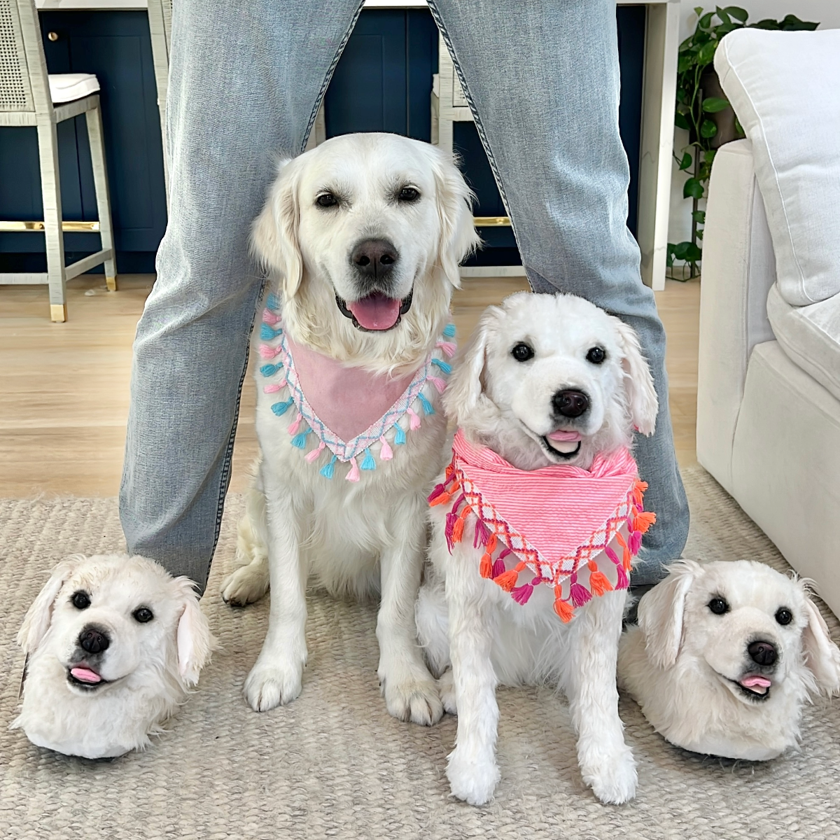Customized Slippers Create One of a Kind Custom Dog Cat and