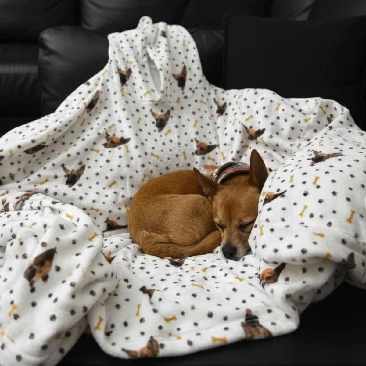 Dog sleeping under a patterned blanket on a dark surface