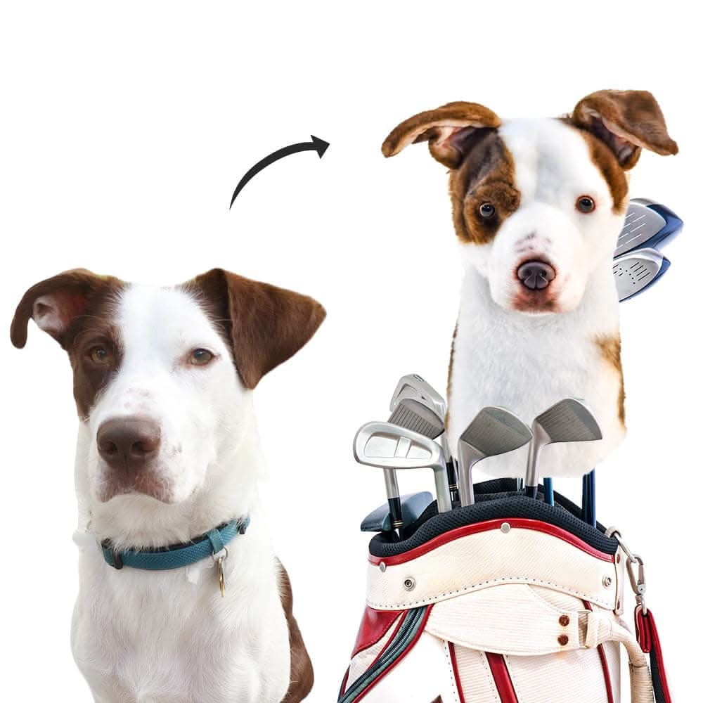 Dog headcover transformation! Custom golf cover featuring pet's likeness.