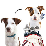 Dog headcover transformation! Custom golf cover featuring pet's likeness.