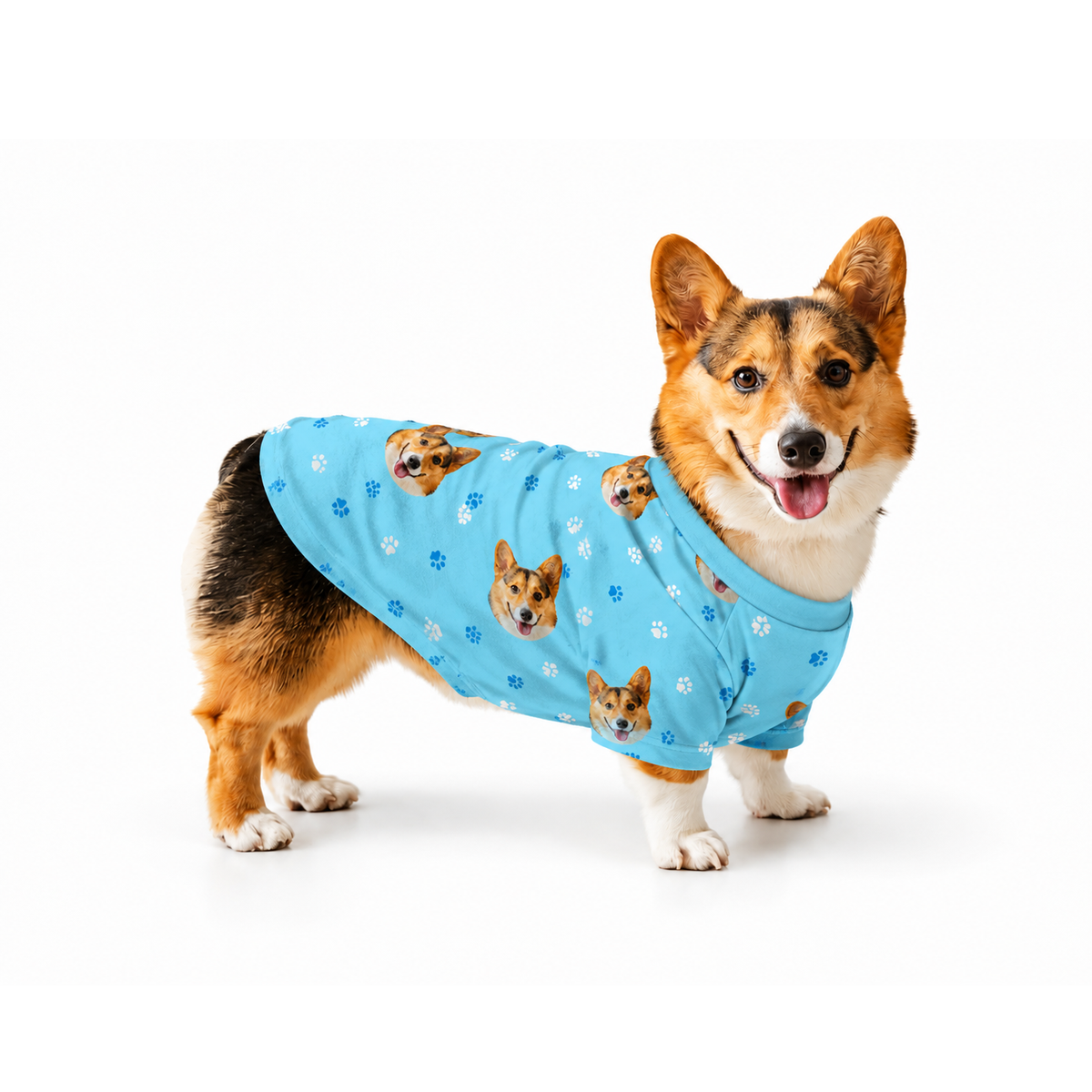 Custom Dog Pajamas