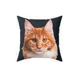 Pillow with a cat's face printed on a black background [BlackImageCutOut]