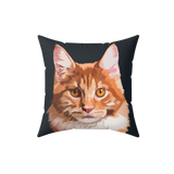 Pillow with a cat face design on a black background [BlackHandIllustration]