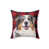 Custom 16 inch throw pillow with an Australian Shepherd photo cutout portrait on a red and black buffalo plaid background[BuffaloPlaidImageCutOut]