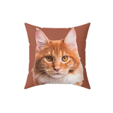 Brown pillow with the face of a cat [CocoaImageCutOut]