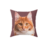 Maroon pillow with the face of a cat [MaroonImageCutOut]