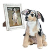 Clone original en peluche