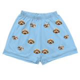 SkyBluePajamaShorts2Pets