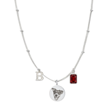 SilverSatelliteEngravedPetMedallionCharm2
