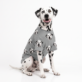 Dalmatian wearing a gray custom dog shirt with a repeating dog face pattern on a white studio background.