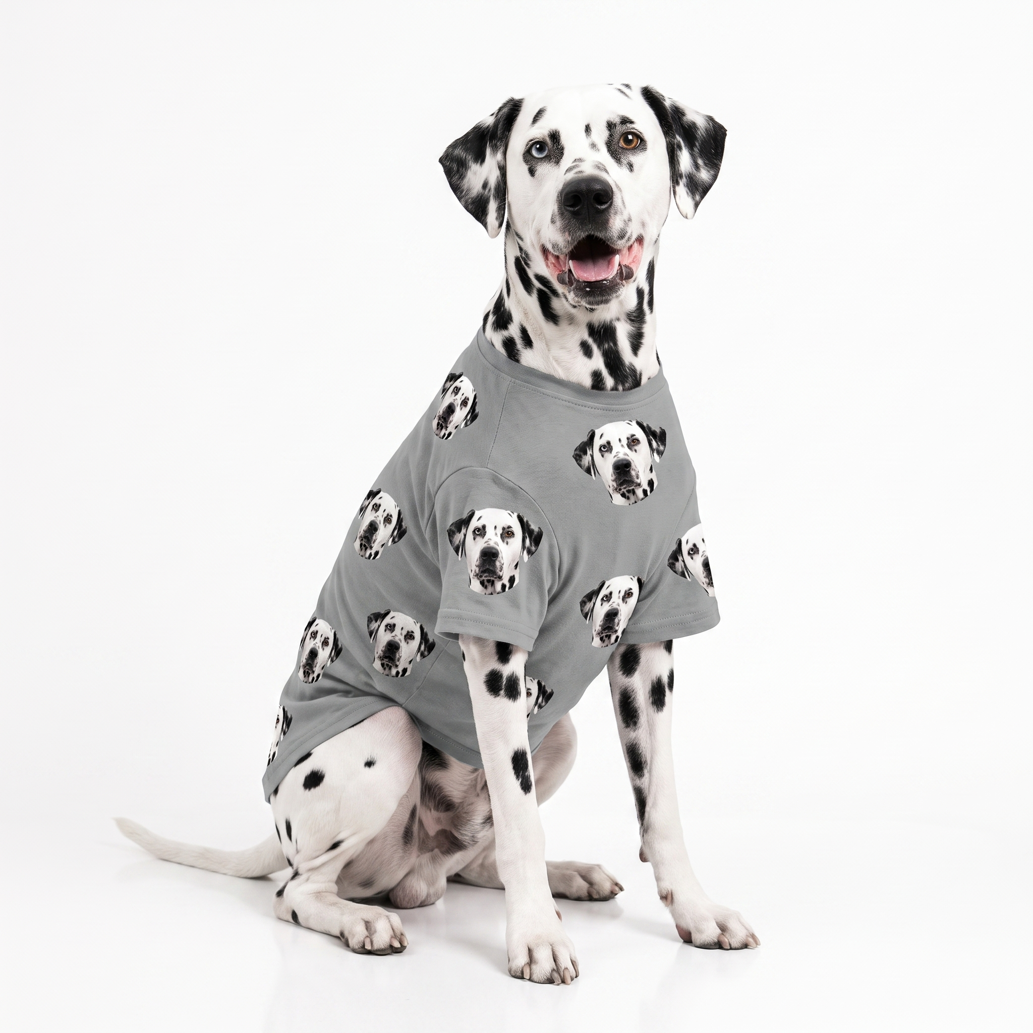 Dalmatian wearing a gray custom dog shirt with a repeating dog face pattern on a white studio background.