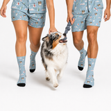 A dog tug-of-war game with a blue rope, featuring a small Australian Shepherd dog on a white studio background. Two models wearing matching light blue pajama shorts with a dog-themed print and matching light blue crew socks are visible from the waist down.