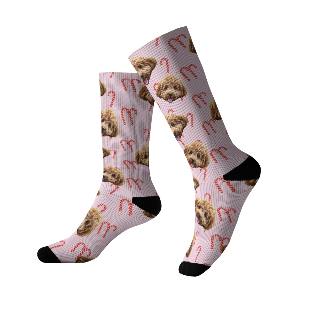 CandyCanes