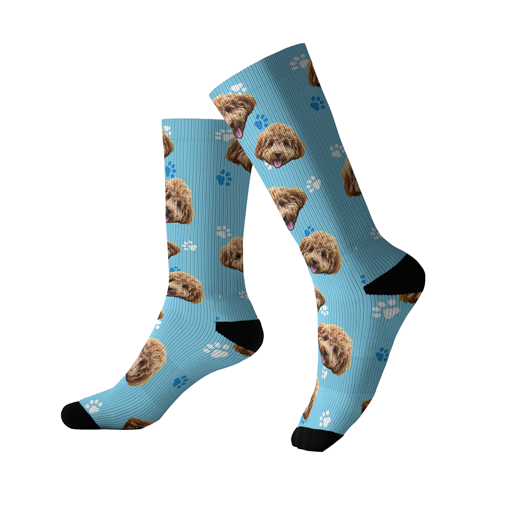 Light Blue Paws Socks