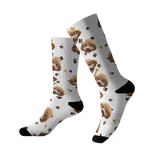 PawsandBones
