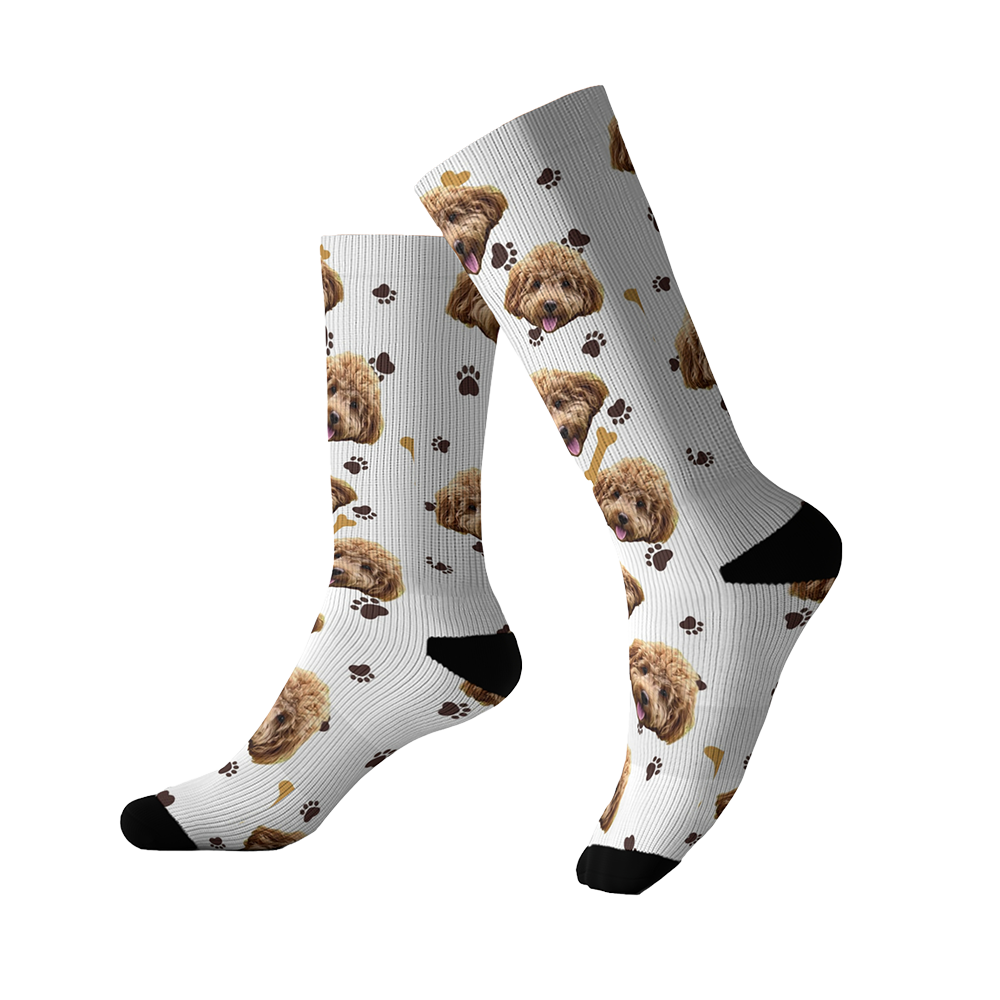 Paws and Bones Socks
