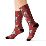 RedPaws