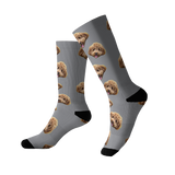 SlateGray