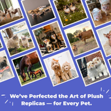 Collage of pets & plush clones. Text: 'We’ve Perfected the Art... for Every Pet.