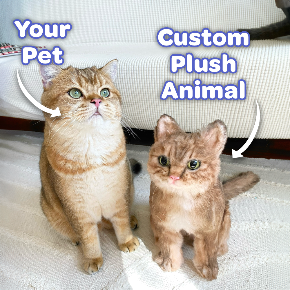 Custom Cat Plush Cuddle Clone - Main Image