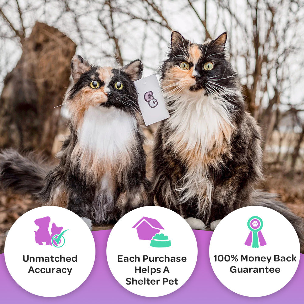 Cuddle Clones: Unmatched Accuracy, Each Purchase Helps a Shelter Pet, and 100% Money Back Guarantee