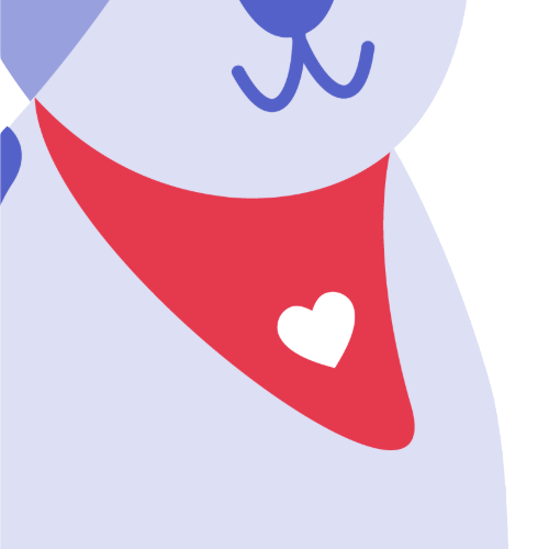 Custom Pet Bandana