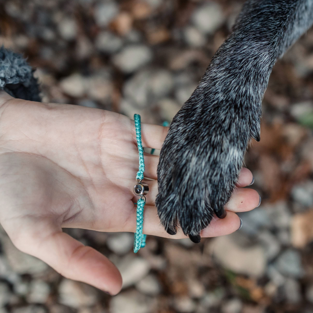 Hand holding dog paw with teal braided charm bracelet over rocks and leaves.