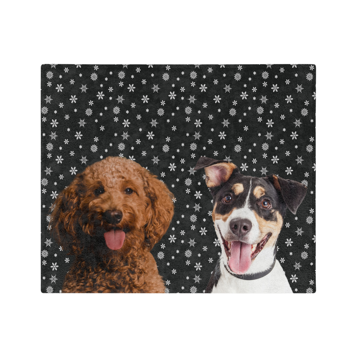 BlackandWhiteSnowflakesImageCutOut2Pets