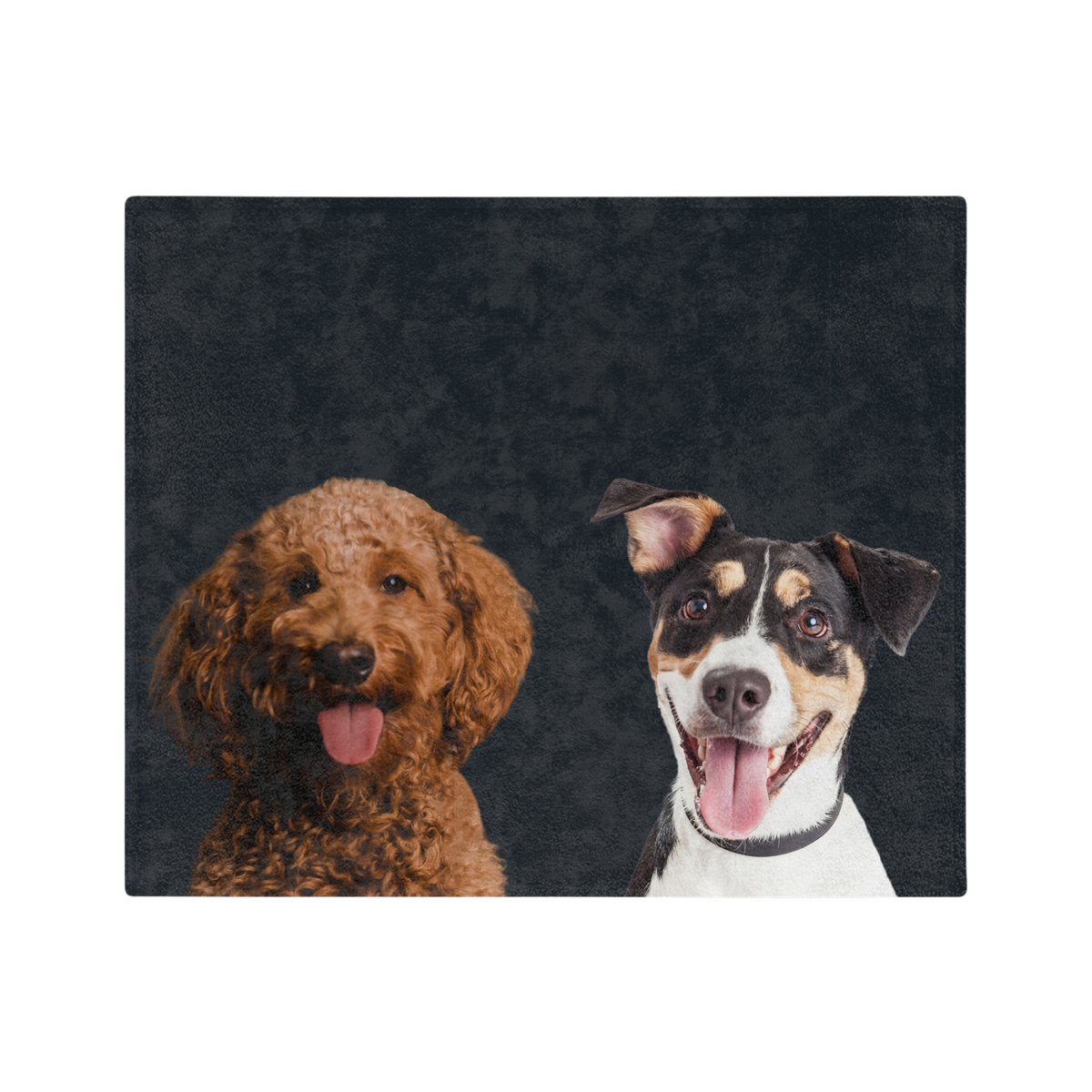 BlackImageCutOut2Pets