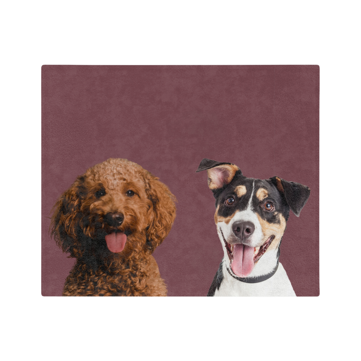 MaroonImageCutOut2Pets
