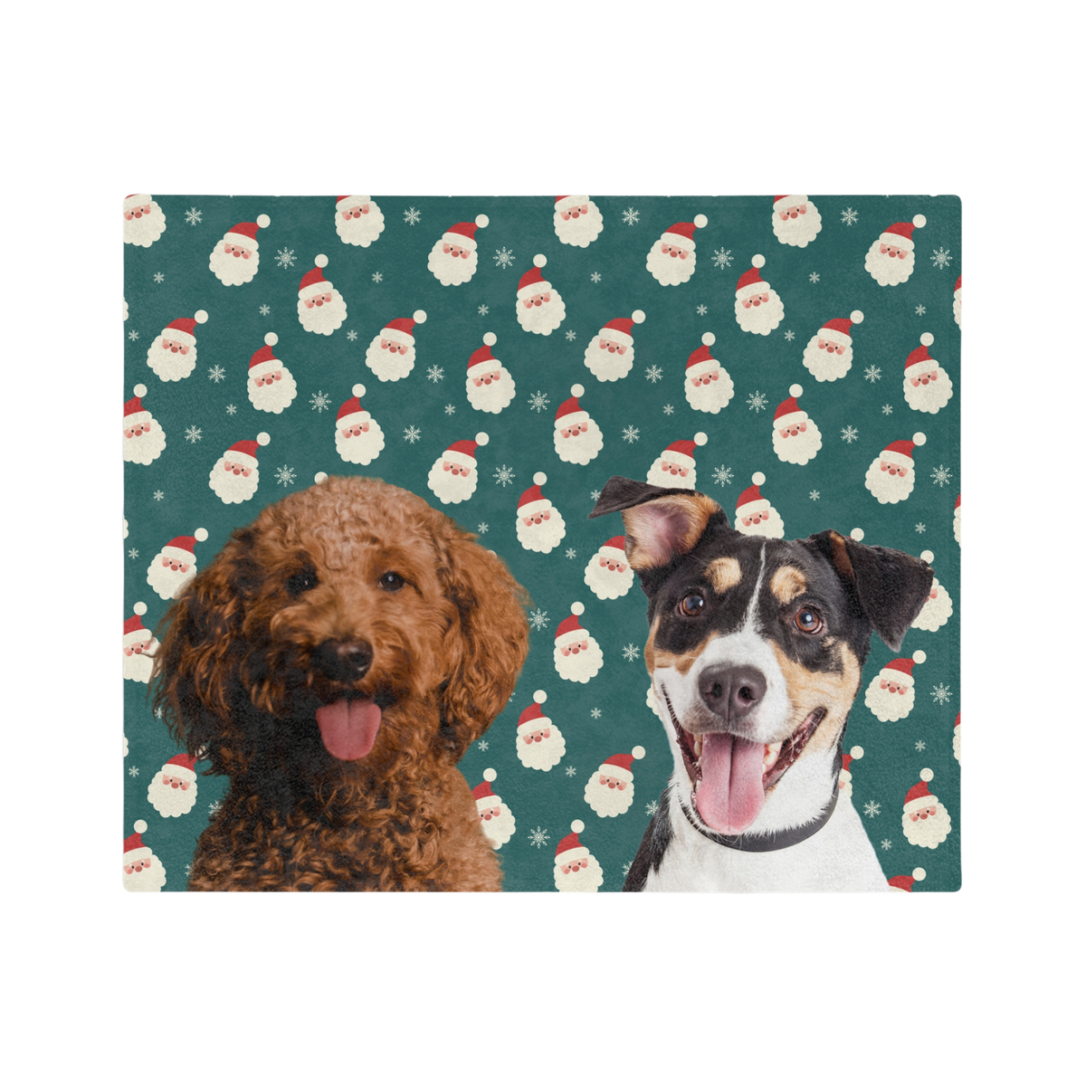 SantaImageCutOut2Pets