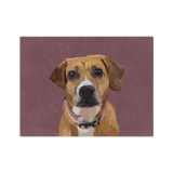 Blanket with illustration of a brown dog with a white muzzle on a maroon background