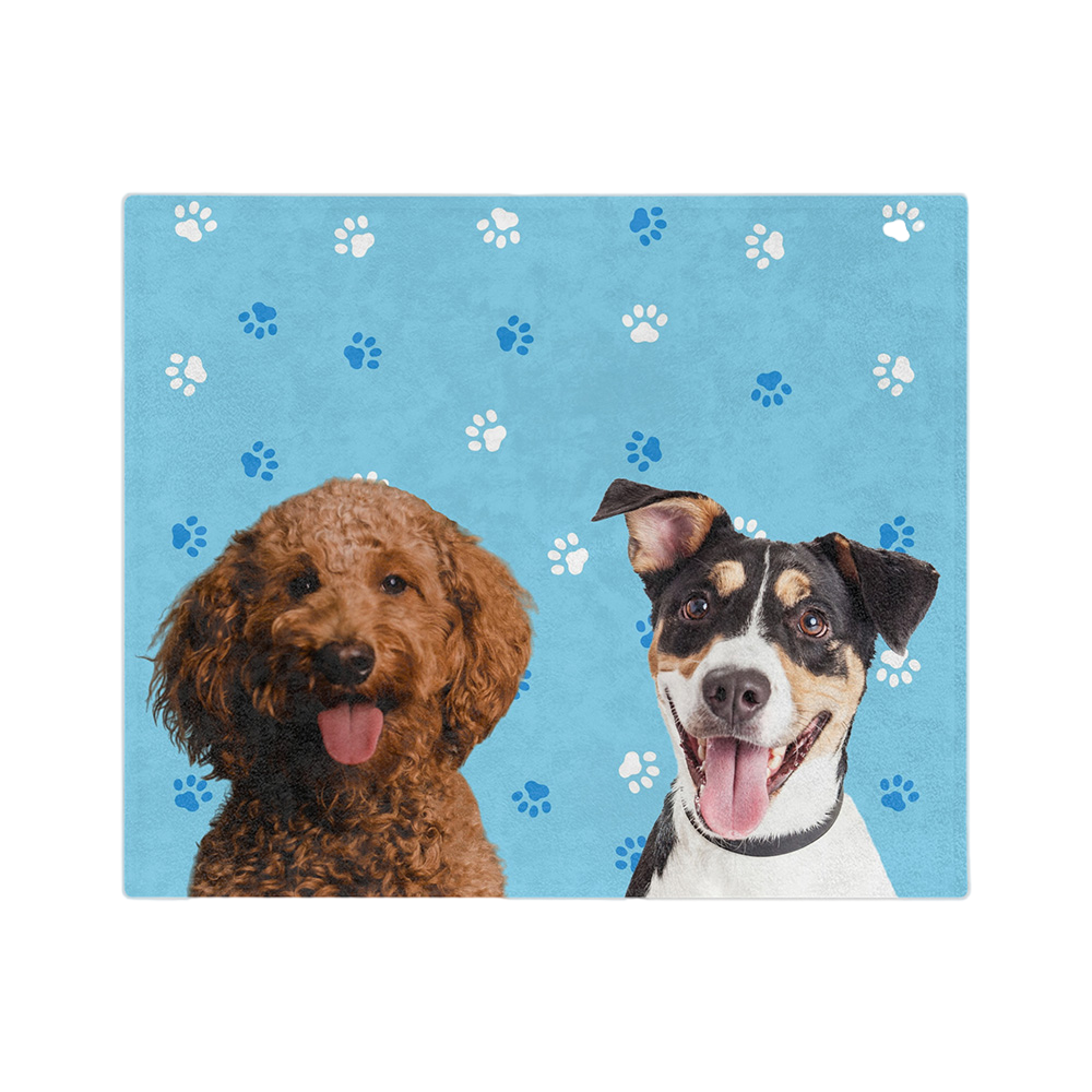 LightBluePawsImageCutOut2Pets